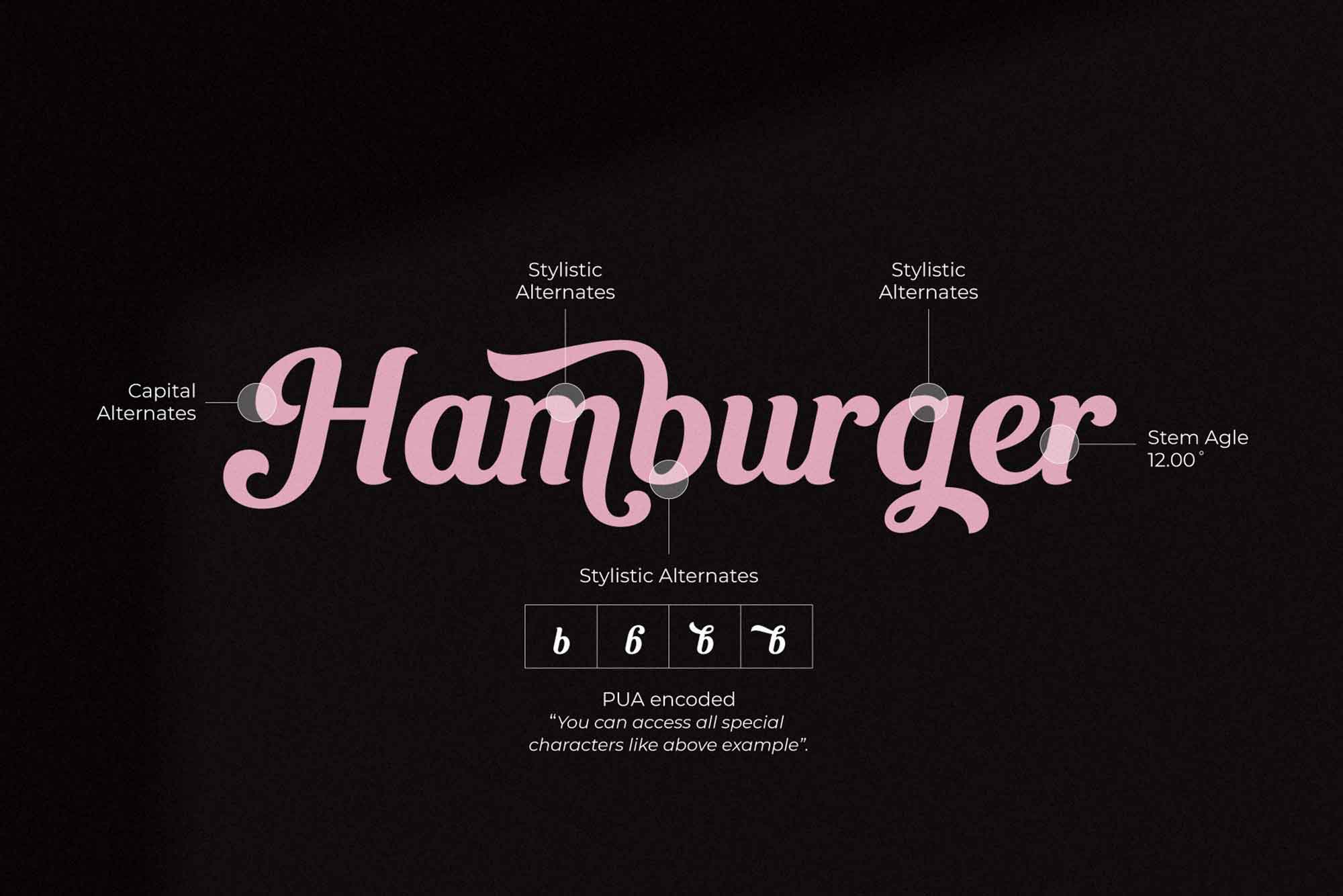 Beanco Script Font – Elegant Handwritten Typeface for Creative Projects