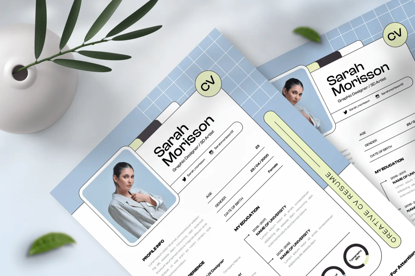 Professional Graphic Designer CV Resume Template – Download & Customize Now