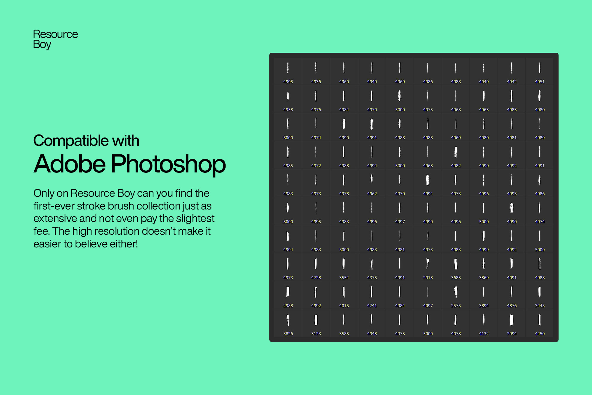 100 Stroke Photoshop Brushes – Free & Premium Artistic Brush Set for Designers
