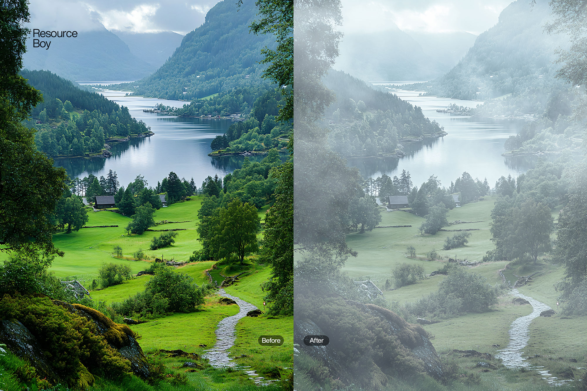 200+ Fog Photoshop Brushes – Free & Premium Effects for Realistic Mist & Atmosphere