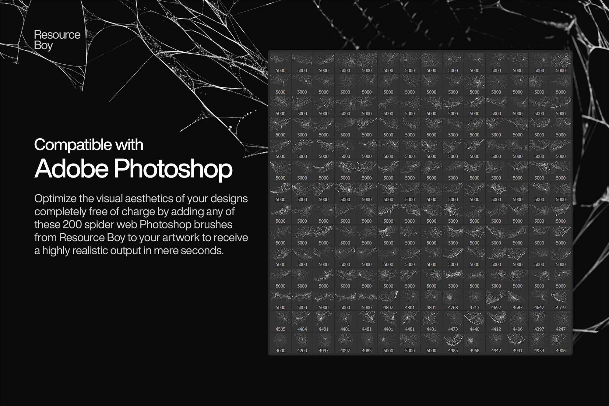 200 Spider Web Photoshop Brushes – High-Quality Brushes for Spooky Designs