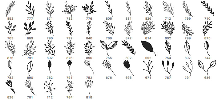 45 Free Plant Brushes for Photoshop & Illustrator – Download Now